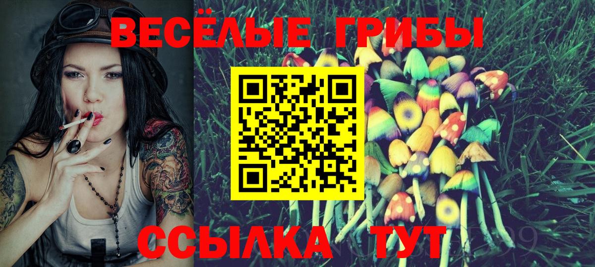 Галлюциногенные грибы мицелий  Псилоцибиновые грибы Psilocybe  Избербаш  даркнет сайт  Вход с VPN 