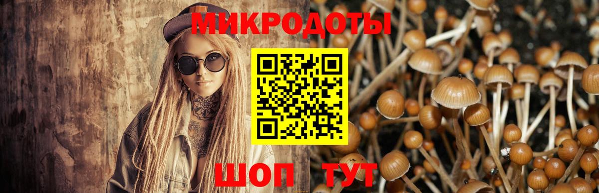 Псилоцибиновые грибы мицелий Избербаш